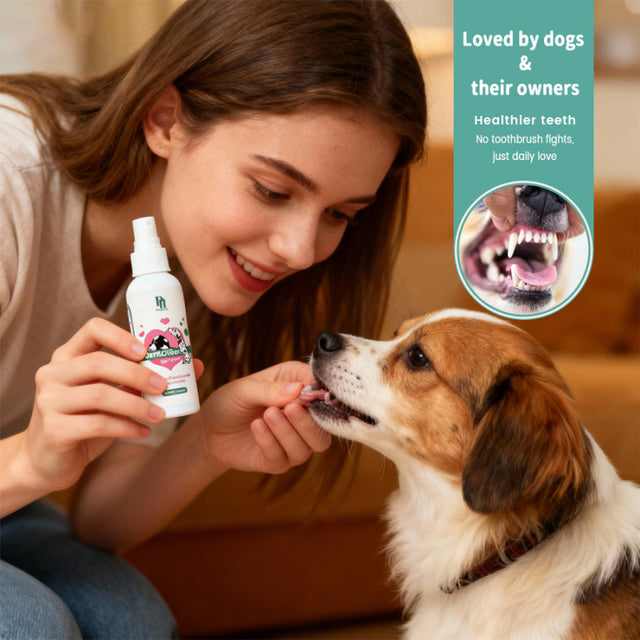 DentaClean
