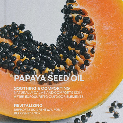 2 Pack Tallow Zinc Sun Stick - oonunu