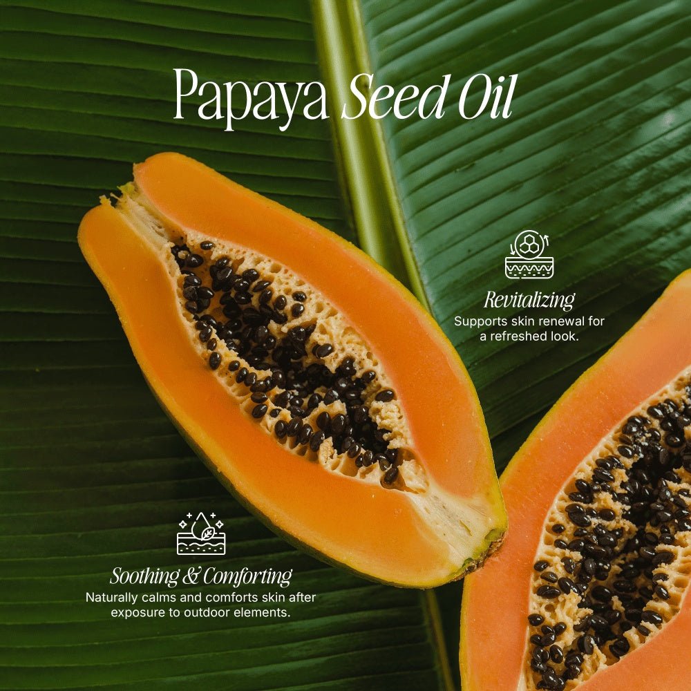 2 Pack Tallow Zinc Sun Stick - oonunu