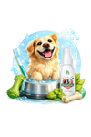 Quick & Stress-Free To Use