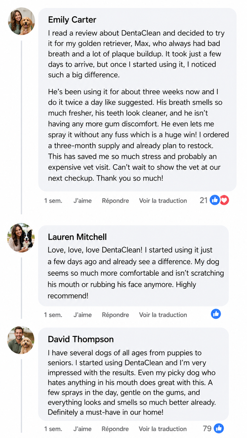 Customer review