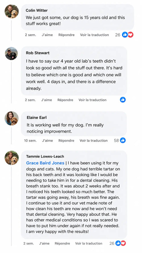 Customer review