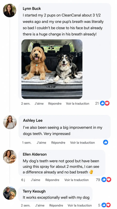 Customer review